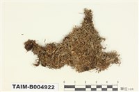 藏品(茶漬衣屬)的圖片